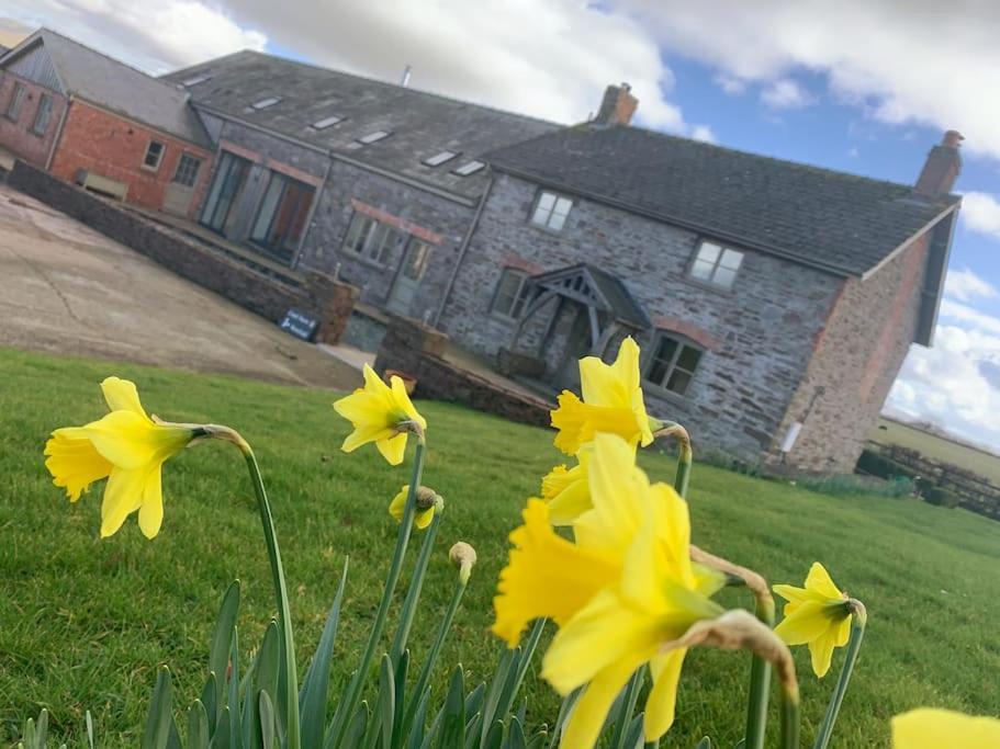 Coed Farm-Hot Tub-Sleeps 12-Near Brecon Villa Buitenkant foto